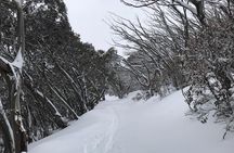 Mount Buller Snow Day Boutique Trip - Max 11 People