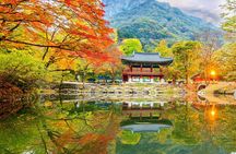 Naejangsan National Park Autumn Foliage One Day Tour from Busan
