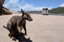 Magnetic Island Tour: Maggie Comprehensive