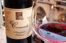 Wine Experience 