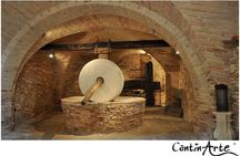 Organic Wine Tasting & tasting of EVO CantinArte OIL MUSEUM