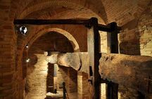 Organic Wine Tasting & tasting of EVO CantinArte OIL MUSEUM