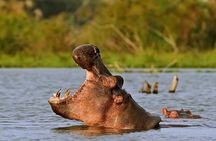 Nairobi: Day Trip to Hell's Gate National Park and Lake Naivasha 