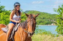 Horseback Ride and Swim from Ocho Rios