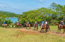 Horseback Ride and Swim from Ocho Rios
