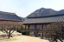 Andong Hahoe Village [UNESCO site] Premium Private Tour from Seoul