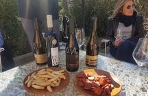 Valencia Wine Country Tour: Wineries, Lunch & Bobal Wines