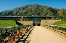 Colchagua Valley Winery Day Trip from Santiago