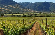 Colchagua Valley Winery Day Trip from Santiago