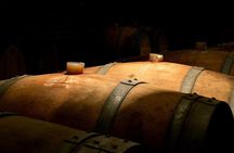 Concha y Toro Winery Tour from Santiago