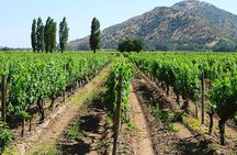 Private Full Day City Tour of Santiago with Wine Experience