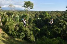 Titi Canopy Tour, Zipline, Rappel down, Tarzan swing