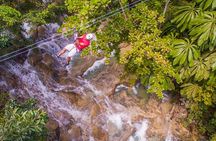 Falls Flyer Zipline and Dunn's River Falls Adventure Tour from Kingston