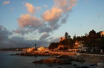 Half-Day Chilean Pacific Coast Tour: Viña del Mar, Reñaca and Concón