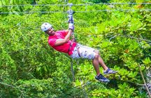 Falls Flyer Zipline and Dunn's River Falls Adventure Tour from Kingston