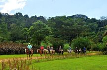 Horseback Riding and Natural Swimming Pools / Jacó Beach
