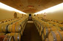 Santiago Super Saver: 2-Day City Sightseeing and Concha y Toro Winery Tour