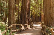 Alcatraz with Muir Woods and Sausalito Tour