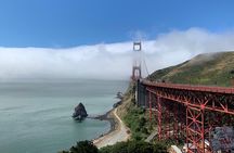 Amazing Muir Woods and Sausalito Tour