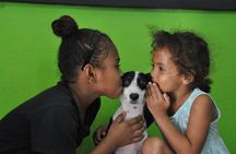 Shelter Visit & Tour