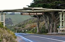 Boutique Great Ocean Road, wildlife and Rainforest Experience