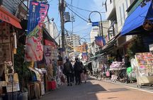 Old Town Tokyo Food Tour