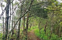 Chiang Mai - Exclusive Trek to Doi Suthep