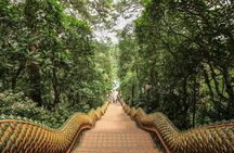 Chiang Mai - Exclusive Trek to Doi Suthep