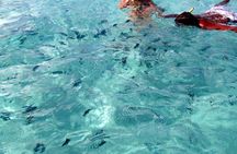 Exclusive Private Catamaran Adventure: Ile aux Cerf (Full Day Cruise incl Lunch)