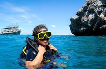 PADI Open Water Diver Course in Koh Phangan