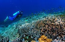 Bali Hai - PADI Advance Open Water Course in Bali