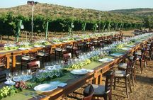 Judean Hills Wine Tasting Tour From Tel Aviv