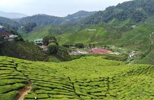 Private: Cameron Highlands 2 days 1 night Trip