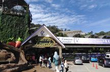 Private: Cameron Highlands 2 days 1 night Trip