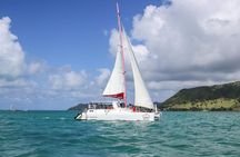 Catamaran cruise to Ile aux cerfs with bbq lunch 