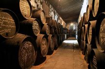 Jerez and Cadiz, with Horse Ballet and Sherry Tasting Full-day from Seville