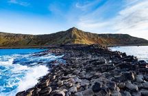 Giant’s Causeway Day Trip from Belfast