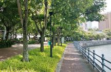 Familiarisation Tour - Singapore City Core