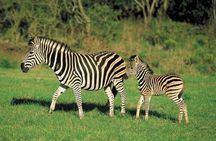 Day Trip - Lake Naivasha & Hells Gate National Park From Nairobi