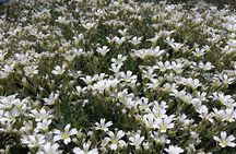 Grotta Serracozzo and Valle del Bove