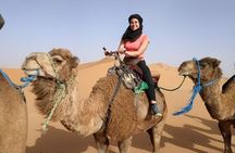 3 Days trip from MARRAKESH to FEZ with a night in OUARZAZATE and MERZOUGA