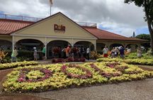 Small Group-Oahu Tour, Dole Plantation, Northshore, Sunset Beach