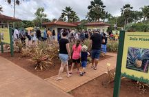 Small Group-Oahu Tour, Dole Plantation, Northshore, Sunset Beach