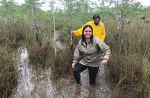 Kayak Adventure in the Everglades