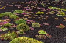Grotta Serracozzo and Valle del Bove