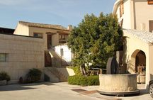 Wine experience in a local winery - Departure from Cagliari