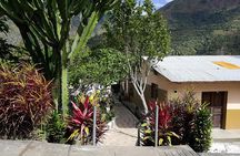 Full-Day Tour: Cacao farm experience in the jungle of Cusco