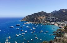 Catalina Island w/Discover Avalon Scenic Tour & Hotel transfers