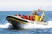 Victoria Zodiac Whale Watching Adventure 
