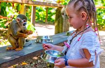 Monkeyland & Plantation Safari Full Day from Juan Dolio